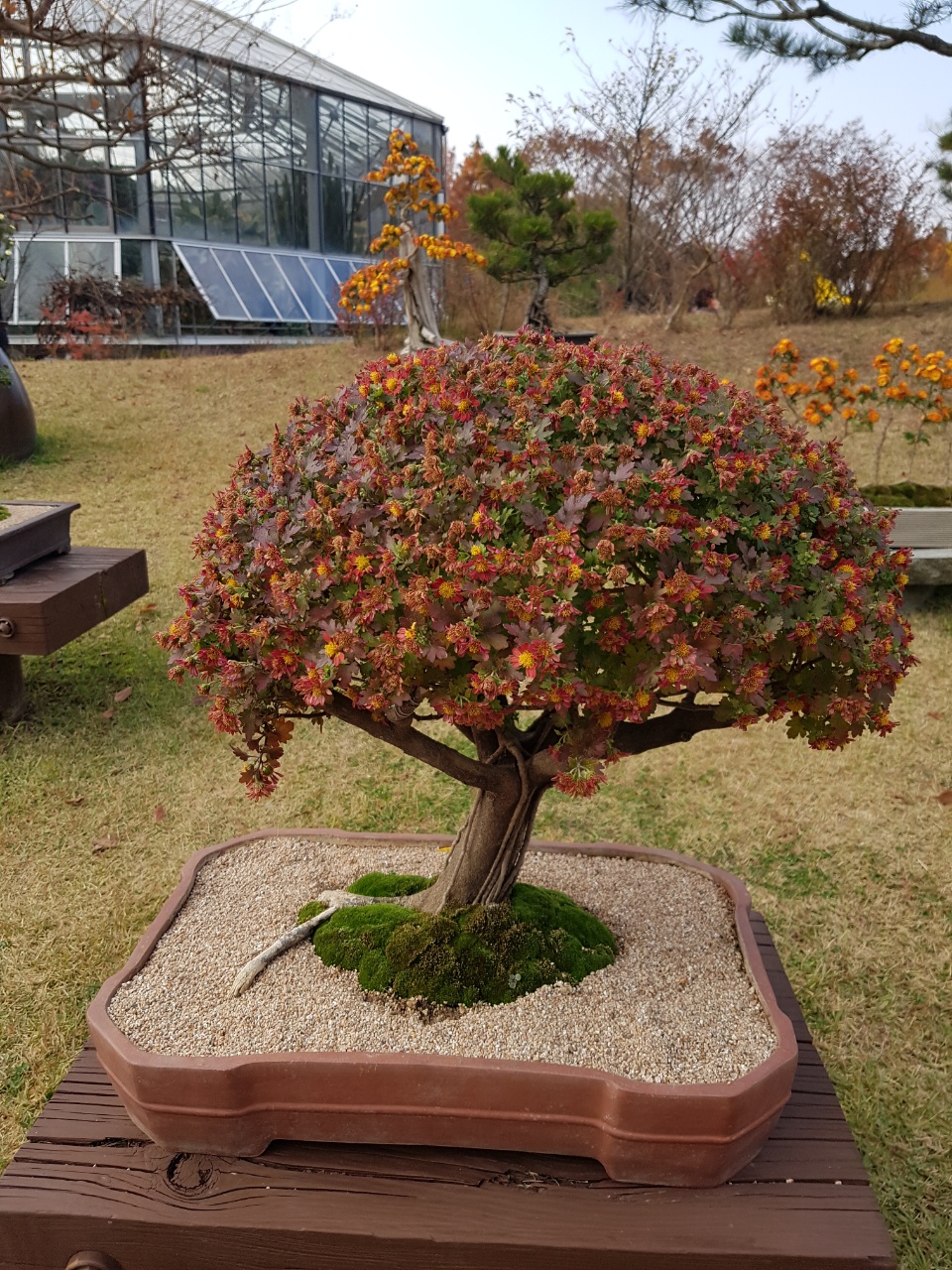 KakaoTalk_20211116_123405570.jpg