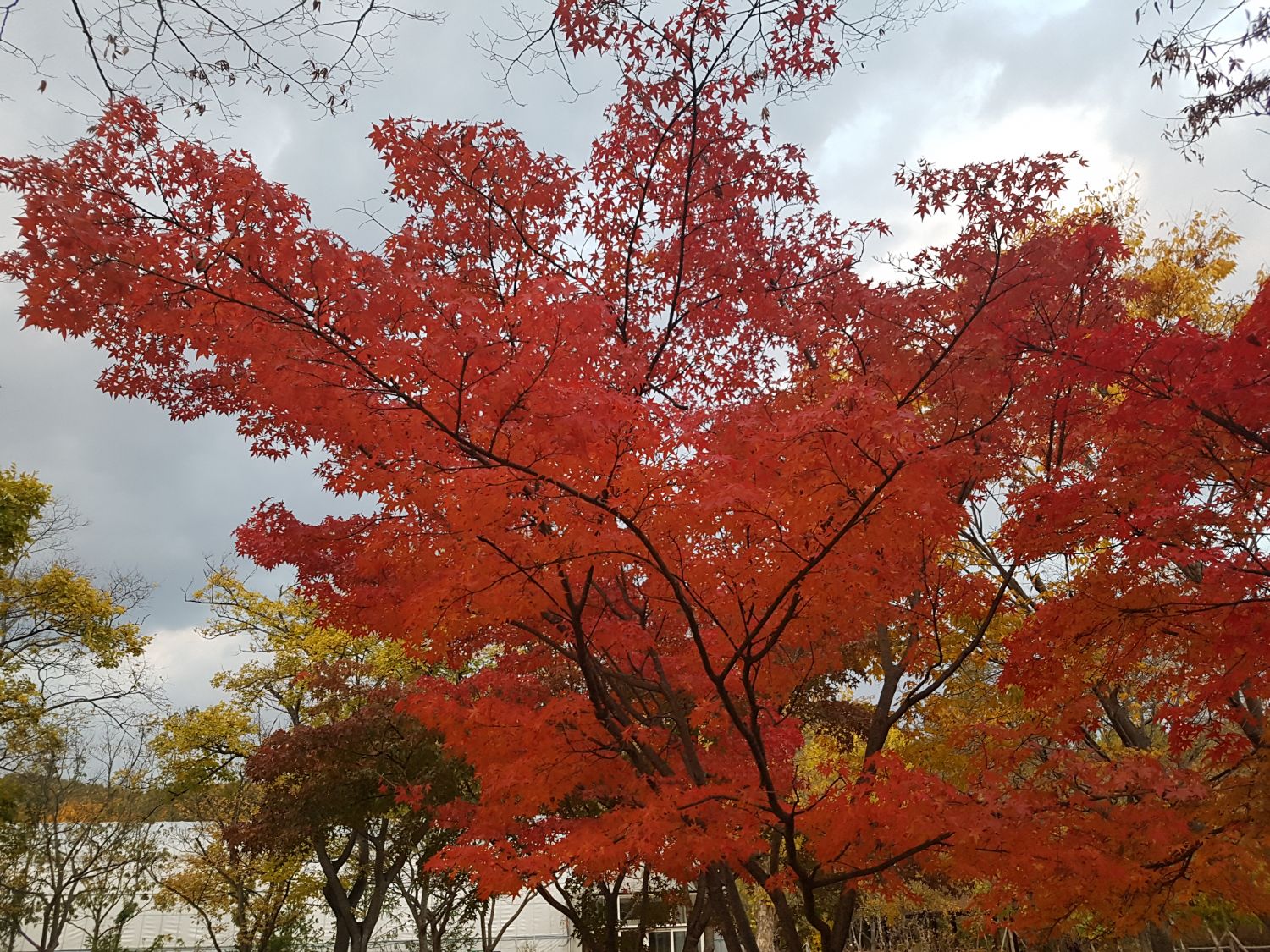 20181028_171718.jpg