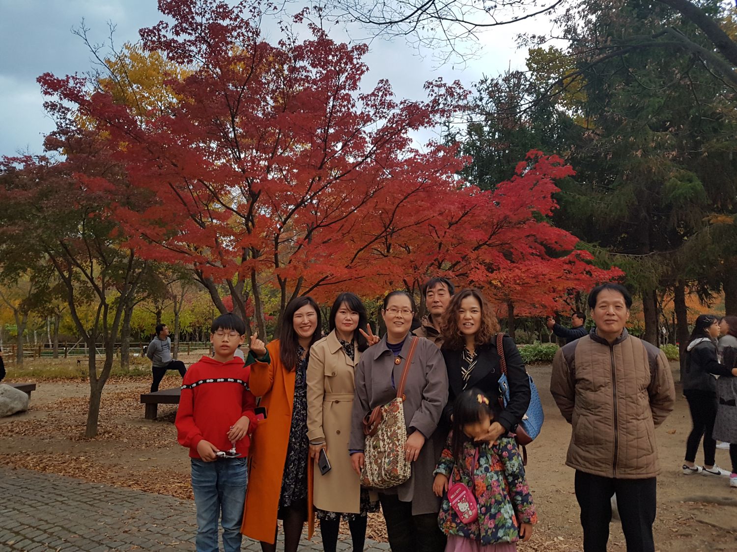 20181028_171546.jpg