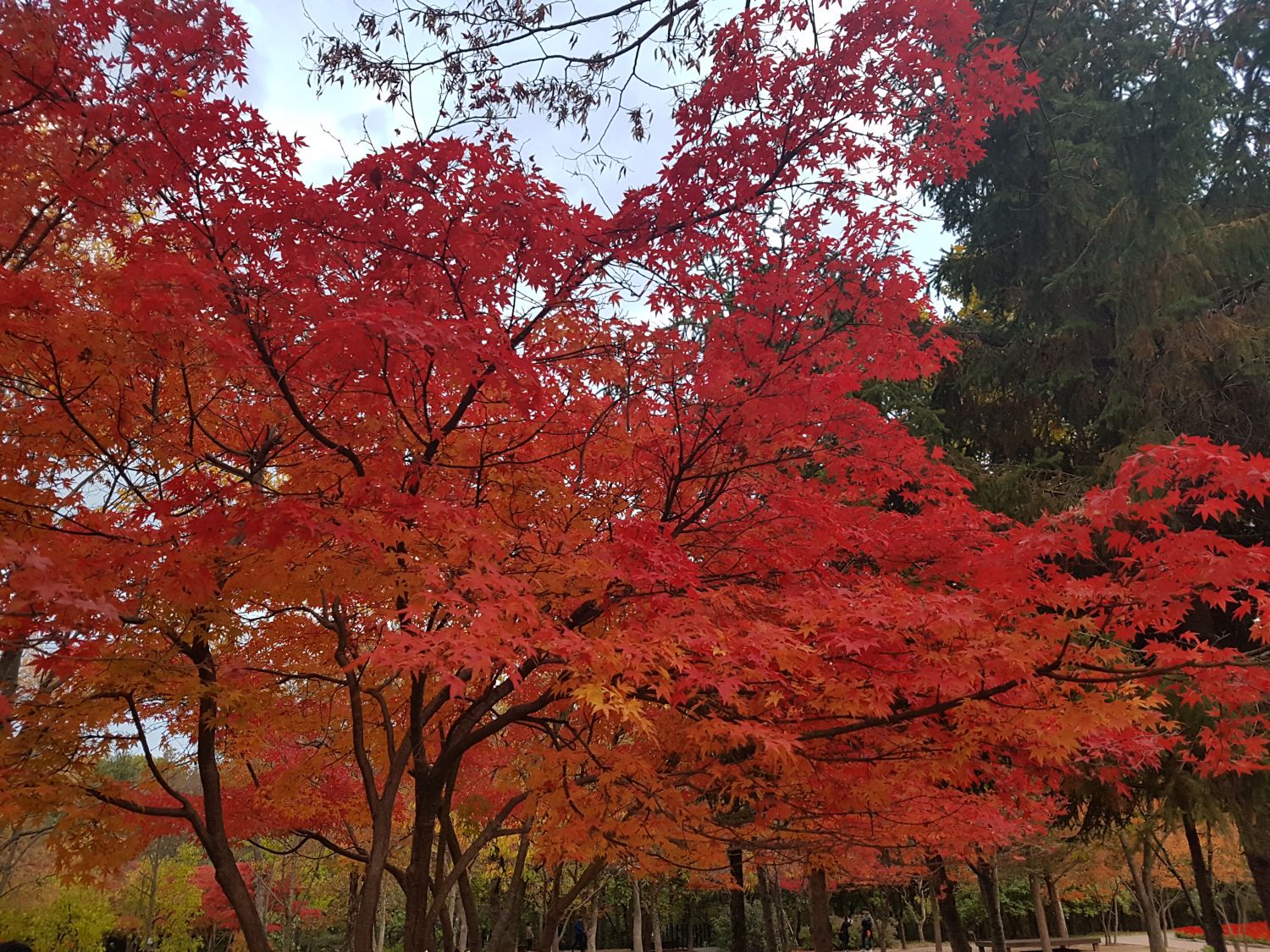 20181028_171711.jpg