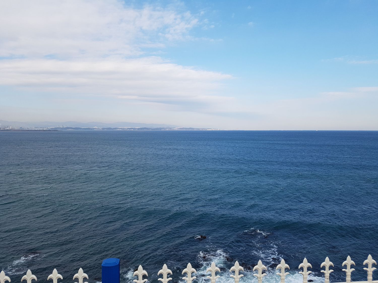 20190101_113133.jpg