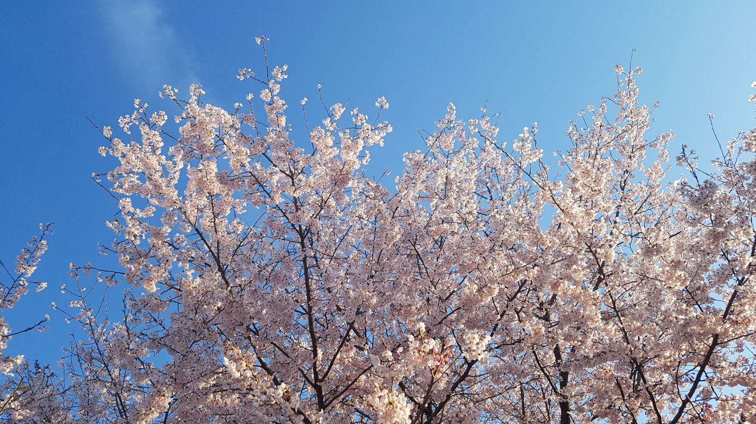 20190324_172936.jpg