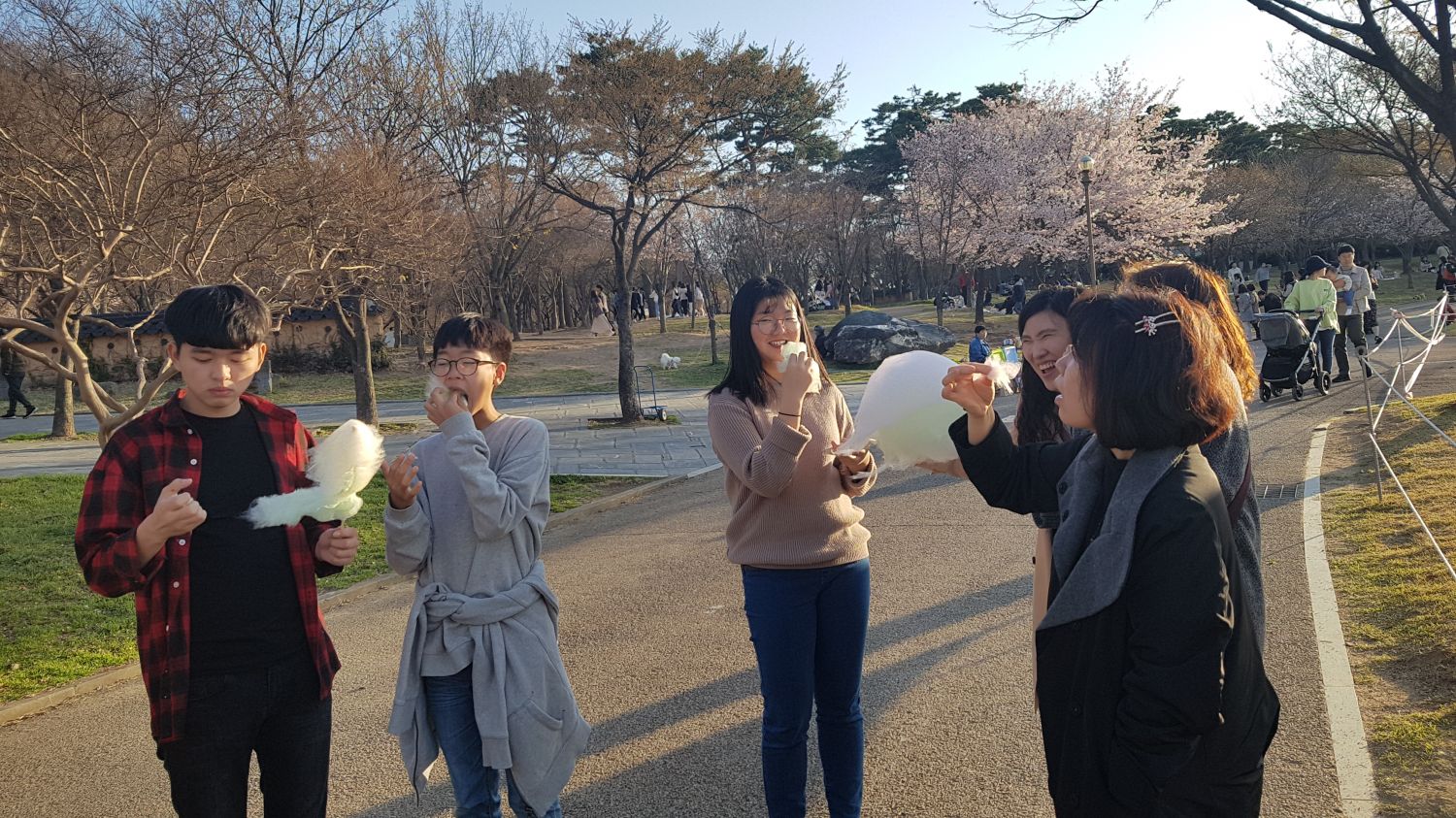 20190324_173443.jpg