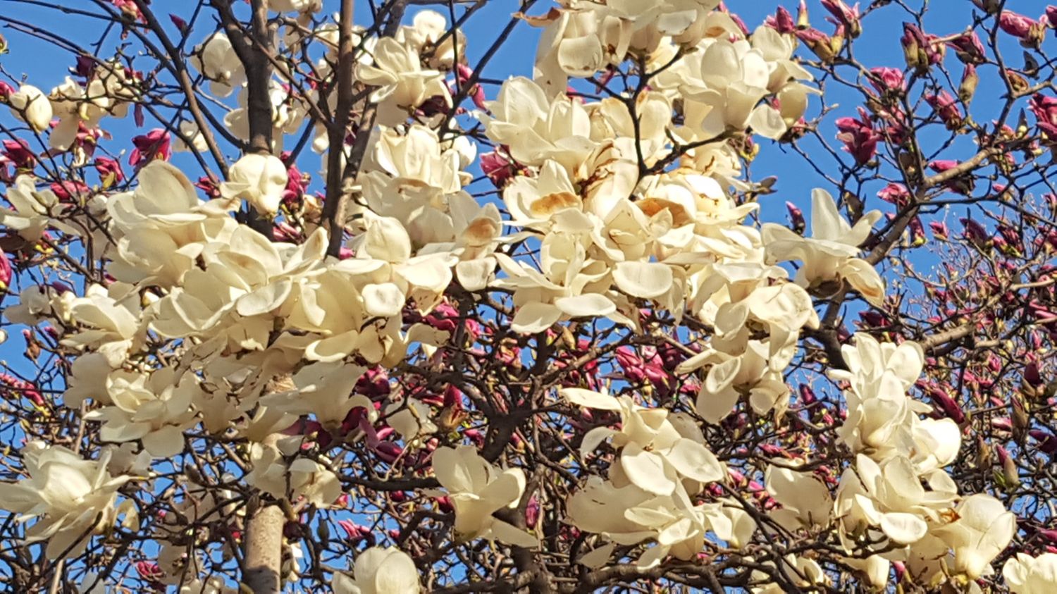20190324_172441.jpg